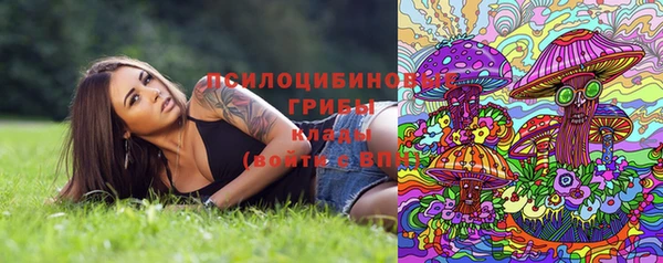 2c-b Алексеевка